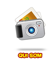 Quisom